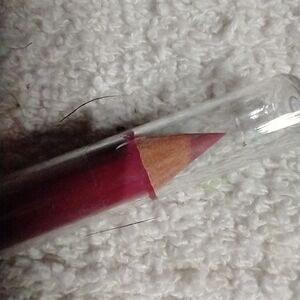 Wet n wild lip liner flirty kiss number 6